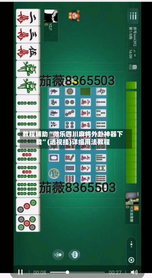 教程辅助“微乐四川麻将外卦神器下载”(透视挂)详细用法教程-第1张图片