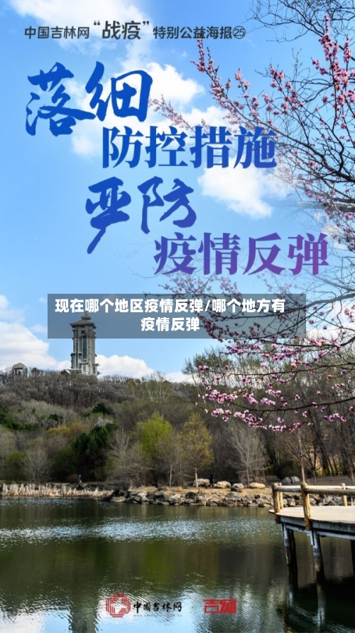 现在哪个地区疫情反弹/哪个地方有疫情反弹-第1张图片