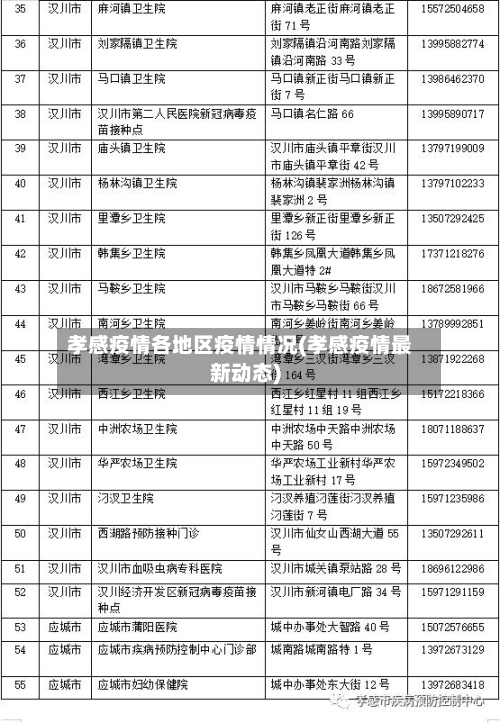 孝感疫情各地区疫情情况(孝感疫情最新动态)-第1张图片
