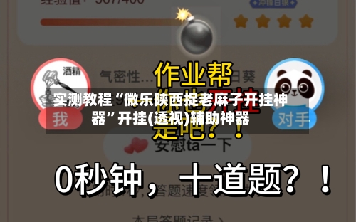 实测教程“微乐陕西捉老麻子开挂神器	”开挂(透视)辅助神器-第1张图片