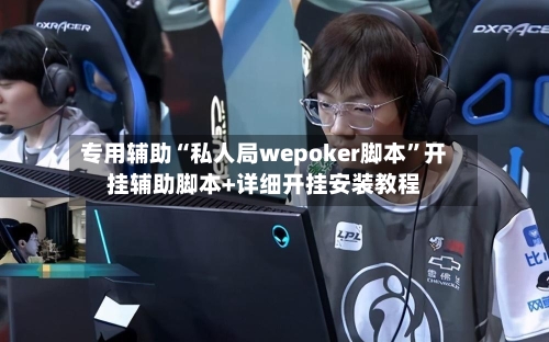 专用辅助“私人局wepoker脚本	”开挂辅助脚本+详细开挂安装教程-第1张图片