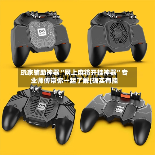 玩家辅助神器“网上麻将开挂神器”专业师傅带你一起了解(确实有挂-第1张图片