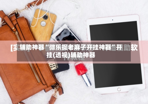 辅助神器“微乐捉老麻子开挂神器”开挂(透视)辅助神器-第1张图片