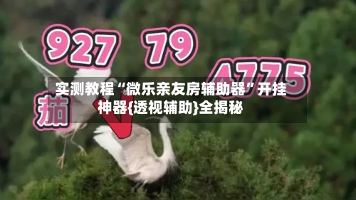 实测教程“微乐亲友房辅助器	”开挂神器{透视辅助}全揭秘-第1张图片
