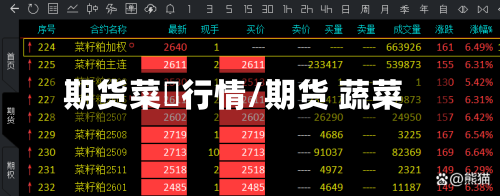 期货菜粨行情/期货 蔬菜-第1张图片