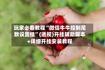 玩家必看教程“微信牛牛控制尾数设置挂	”(透视)开挂辅助脚本+详细开挂安装教程-第1张图片