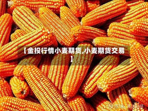 【金投行情小麦期货,小麦期货交易】-第1张图片