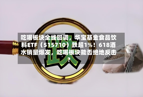 吃喝板块全线回调，华宝基金食品饮料ETF（515710）跌超1%！618酒水销量爆发	，吃喝板块能否绝地反击？-第1张图片