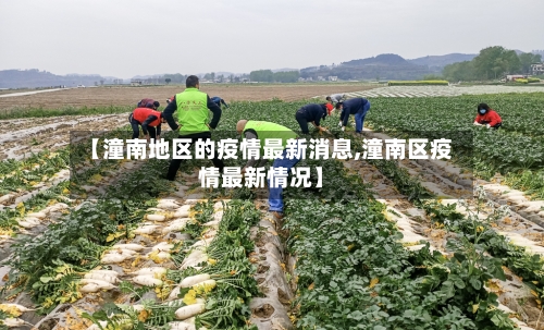 【潼南地区的疫情最新消息,潼南区疫情最新情况】-第1张图片