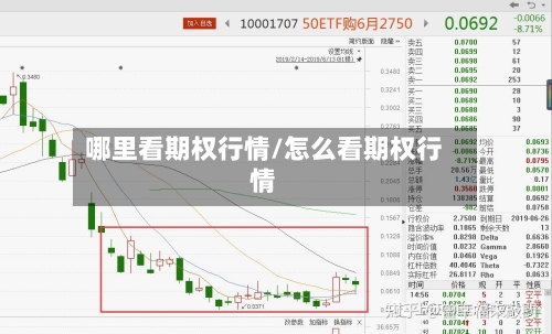 哪里看期权行情/怎么看期权行情-第1张图片