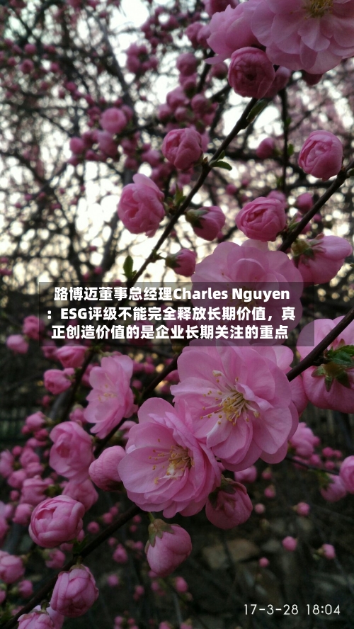 路博迈董事总经理Charles Nguyen：ESG评级不能完全释放长期价值	，真正创造价值的是企业长期关注的重点-第1张图片
