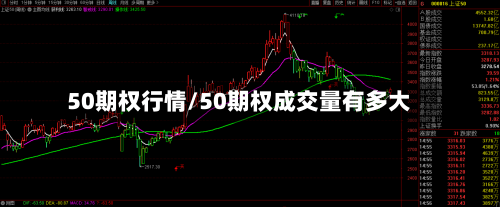 50期权行情/50期权成交量有多大-第1张图片