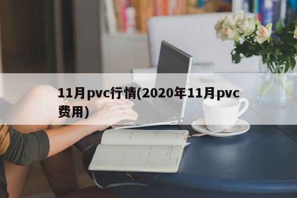 11月pvc行情(2020年11月pvc费用)
