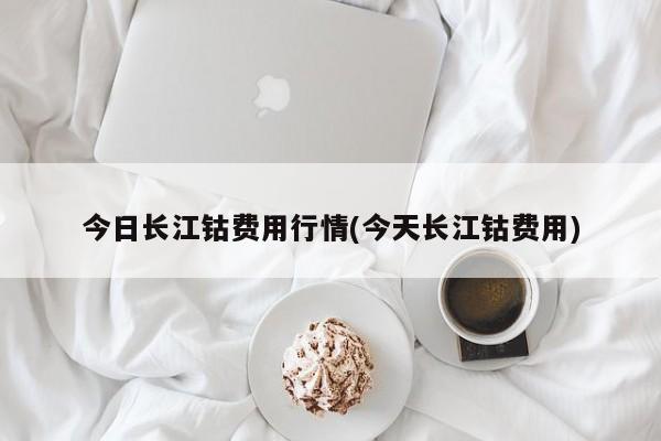 今日长江钴费用行情(今天长江钴费用)