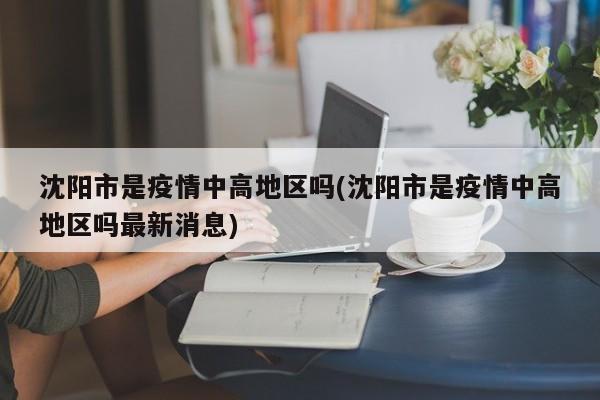 沈阳市是疫情中高地区吗(沈阳市是疫情中高地区吗最新消息)